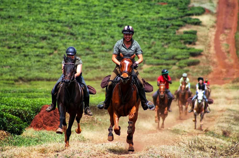 tourists horse riding